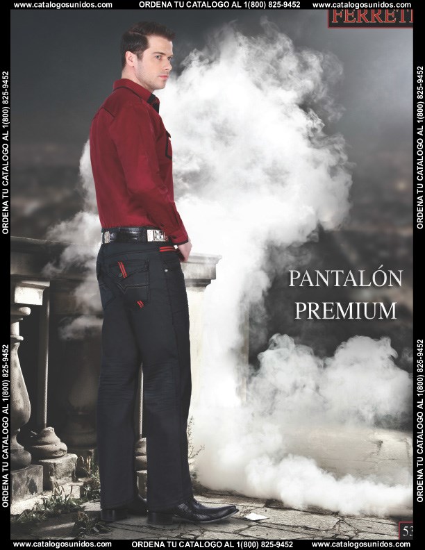 Ferreti2014 (Page 53)